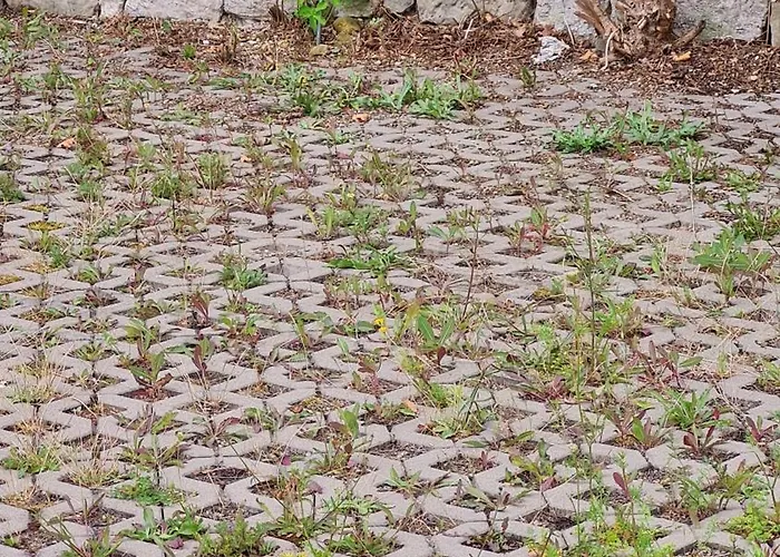 Tor Zum Muenzenberg *